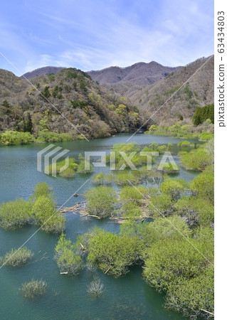 日光河川湖和萌芽樹 63434803