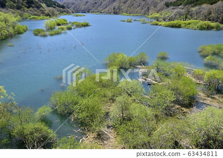 Lake Nikko Kawaji and the sprout trees Lake Nikko Kawaji and the sprout trees 63434811