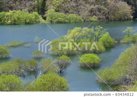 Lake Nikko Kawaji and the sprout trees Lake Nikko Kawaji and the sprout trees 63434812
