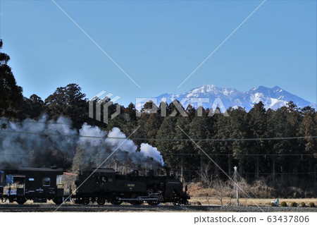 SL樹和雪山 SL樹和雪山 63437806