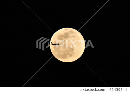 Airplane on full moon 63439244