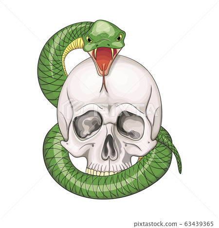 Hand drawn human skull entwined by snake. Vector illustration 63439365