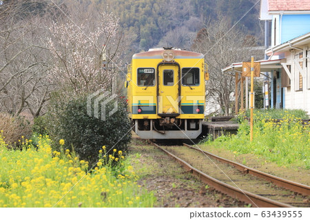 Isumi Railway "Sougen Station in mid-February when rape blossoms bloom" Isumi Railway "Sougen Station in mid-February when rape blossoms bloom" 63439555