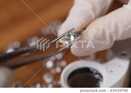 Professional appraiser at work Professional appraiser at work 63439700