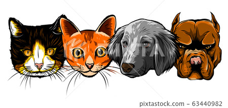 Cat and Dog characters. Cartoon styled vector illustration. Cat and Dog characters. Cartoon styled vector illustration. 63440982