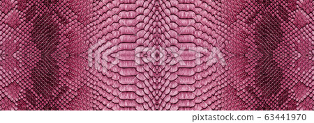Snake skin texture closeup background. Panoramic 63441970