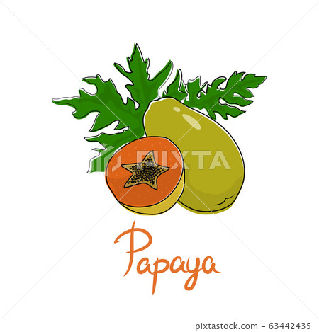 Papaya isolated on white background Papaya isolated on white background 63442435