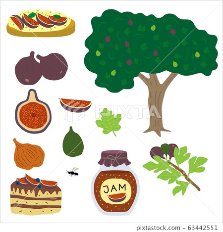 Figs nature pieces, halves of useful soft purple, diet fruits with green tree branch on vector fig illustration isolated on white. 63442551