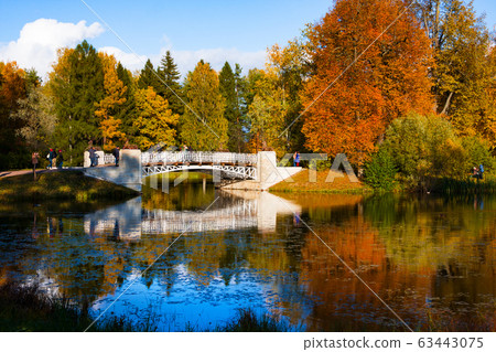 Autumn park, Slavyanka river and Cast-iron bridge Autumn park, Slavyanka river and Cast-iron bridge 63443075
