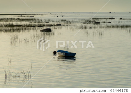 Russia. Saint-Petersburg. Fishing boats at anchor in the reeds in the shallow waters of the Gulf of Finland. Russia. Saint-Petersburg. Fishing boats at anchor in the reeds in the shallow waters of the Gulf of Finland. 63444178