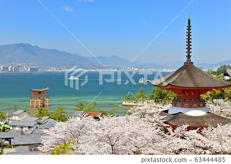 春季宮島的大鳥居和太保景色 春季宮島的大鳥居和太保景色 63444485