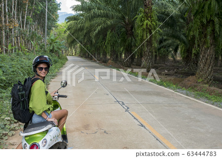 road in the jungle road in the jungle 63444783