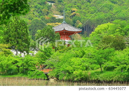 大角寺的新鮮綠化(京都S峨野) 大角寺的新鮮綠化(京都S峨野) 63445077