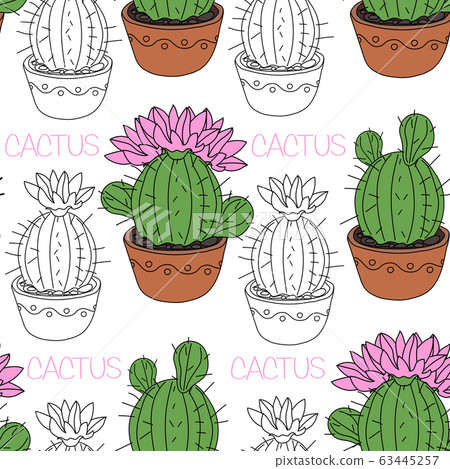 Seamless pattern with cactus and succulents in the pots. Hand drawn background. Vector illustration 63445257