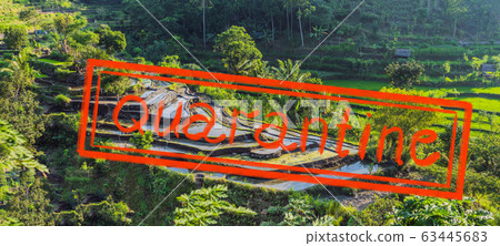 Quarantine due to coronavirus epidemic covid19 Green cascade rice field plantation at Bali Quarantine due to coronavirus epidemic covid19 Green cascade rice field plantation at Bali 63445683