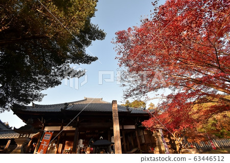 Shokoin 63446512