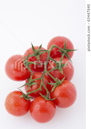 多個西紅柿與分支與水滴 多個西紅柿與分支與水滴 63447840