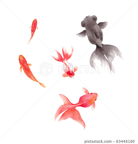 Watercolor illustration of five goldfish 63448180