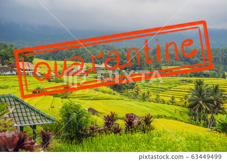 Quarantine due to coronavirus epidemic covid19 Beautiful Jatiluwih Rice Terraces against the 63449499