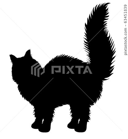[Cat Silhouette] Forest Cat Maine Coon Ragdoll Persian Siberian Beard Without 6 63451839