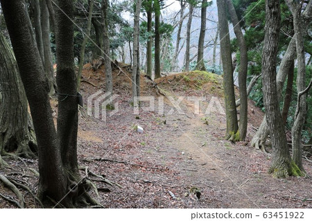 Kuniyoshi Castle 63451922