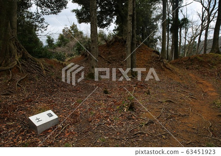 Kuniyoshi Castle Kuniyoshi Castle 63451923