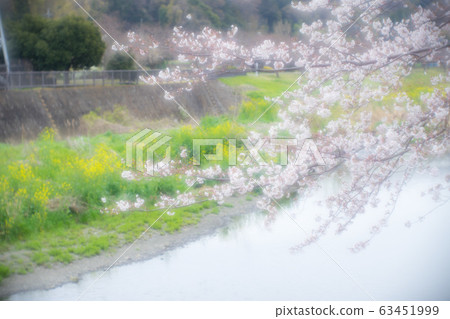 Spring landscape Spring landscape 63451999