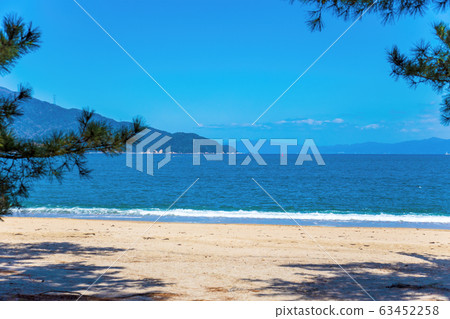 Kebara's Matsubara (March sunny day) 63452258