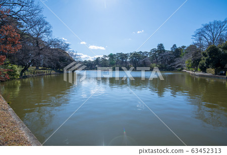 Omiya Park Boat Pond Saitama City 63452313