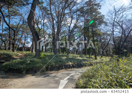 Omiya Park Boardwalk Saitama City Omiya Park Boardwalk Saitama City 63452415