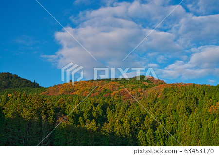 《Nara Prefecture》Ryuohagafuchi 63453170