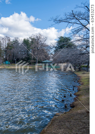 m玉市大宮公園船塘 63453273