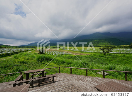 Vineyards spread over Mt.Kokonoe in Oita Prefecture, vineyards for wine 63453527
