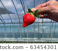 Hand with strawberries Hand with strawberries 63454301