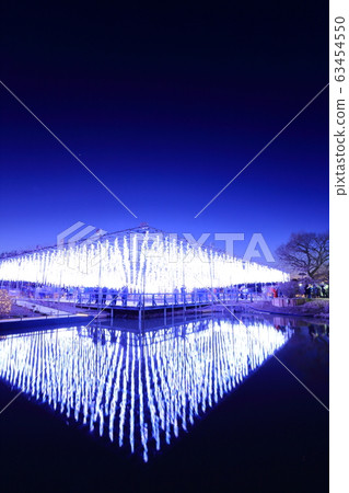 illumination illumination 63454550
