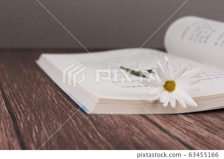the Memorial Day concept, white chrysanthemum flower 089 the Memorial Day concept, white chrysanthemum flower 089 63455166