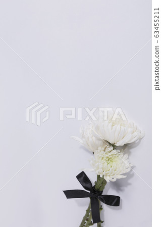 the Memorial Day concept, white chrysanthemum flower 018 63455211