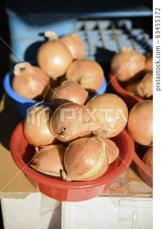 Close-up of Agricultural and Marine Products 419 Close-up of Agricultural and Marine Products 419 63455372
