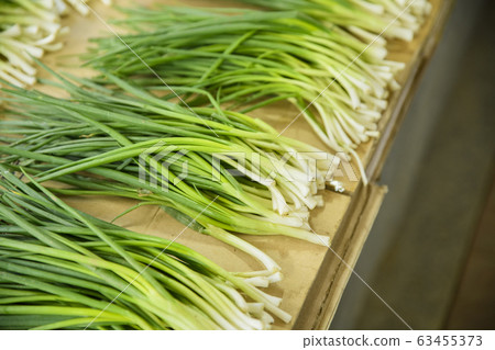Close-up of Agricultural and Marine Products 393 Close-up of Agricultural and Marine Products 393 63455373