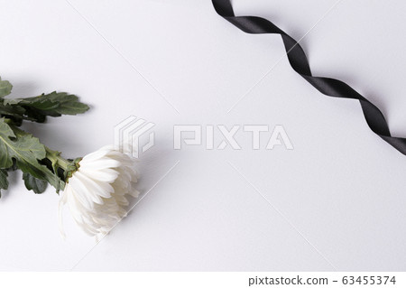 the Memorial Day concept, white chrysanthemum flower 021 the Memorial Day concept, white chrysanthemum flower 021 63455374