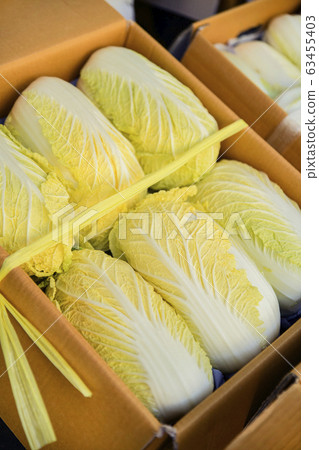 Close-up of Agricultural and Marine Products 369 Close-up of Agricultural and Marine Products 369 63455403