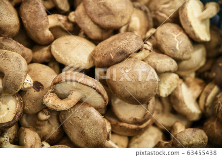 Close-up of Agricultural and Marine Products 320 Close-up of Agricultural and Marine Products 320 63455438