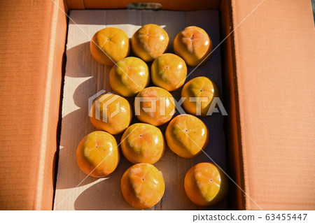 Close-up of Agricultural and Marine Products 484 Close-up of Agricultural and Marine Products 484 63455447