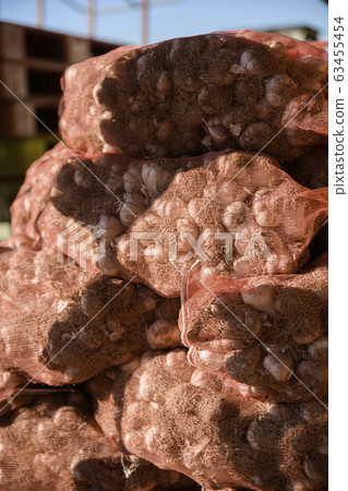 Close-up of Agricultural and Marine Products 424 Close-up of Agricultural and Marine Products 424 63455454