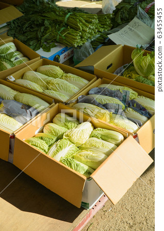 Close-up of Agricultural and Marine Products 376 Close-up of Agricultural and Marine Products 376 63455455