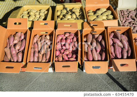 Close-up of Agricultural and Marine Products 352 Close-up of Agricultural and Marine Products 352 63455470