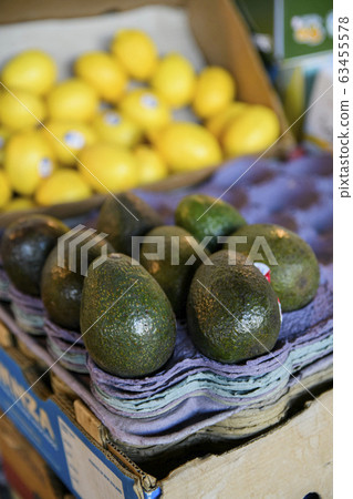 Close-up of Agricultural and Marine Products 504 Close-up of Agricultural and Marine Products 504 63455578