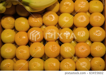 Close-up of Agricultural and Marine Products 478 63455602