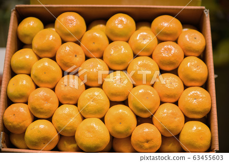 Close-up of Agricultural and Marine Products 481 Close-up of Agricultural and Marine Products 481 63455603