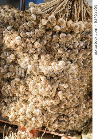 Close-up of Agricultural and Marine Products 435 Close-up of Agricultural and Marine Products 435 63455659